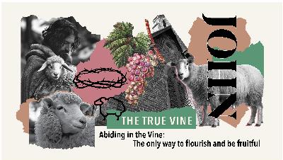Abiding In The Vine: The Only Way To Flourish And Be Fruitful | Lead Pastor Rohan Bell