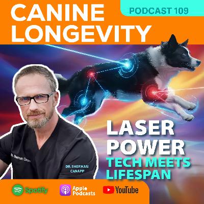 Canine Longevity-Laser Therapy Canine Longevity-Laser Therapy