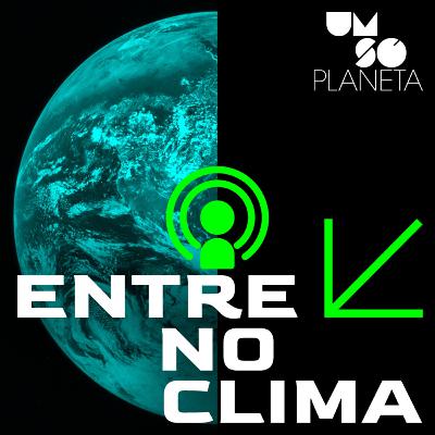 144 | Na Rota do Dinheiro verde | Como o mercado de carbono pode ajudar a frear as emissões de governos e empresas?
