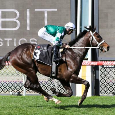 Punter's Preamble - 2025 Sir Rupert Clarke Stakes Day