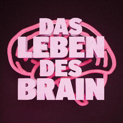 Wie dein Arbeitsplatz dein Denken verbessern kann