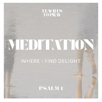 Meditation: Where I Find My Delight - Teach Us To Pray: A Psalm for Every Season