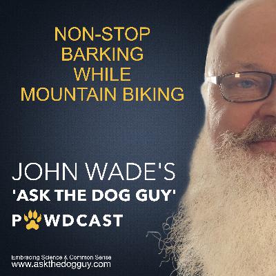 Dog Barks Non-Stop When Mountain Biking With Owners (Australian Shepherd/Lab X) Dog Barks Non-Stop When Mountain Biking With Owners (Australian Shepherd/Lab X)