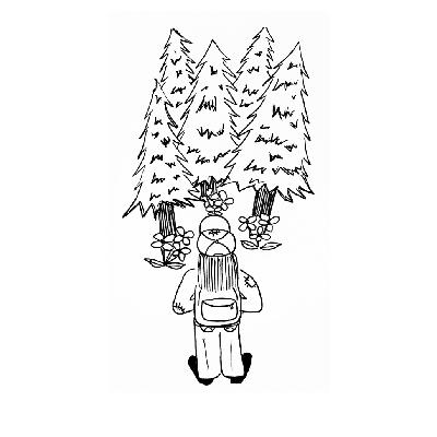 Connecting With Nature