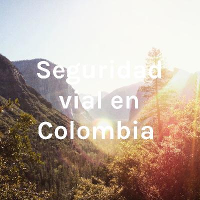 Seguridad vial en Colombia