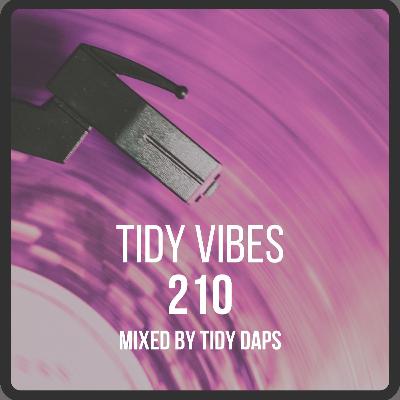 Tidy Vibes 210