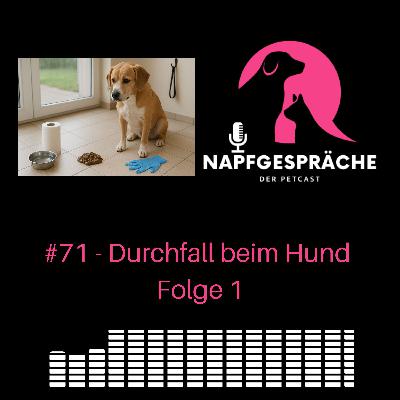 #71 - Durchfall beim Hund Folge 1