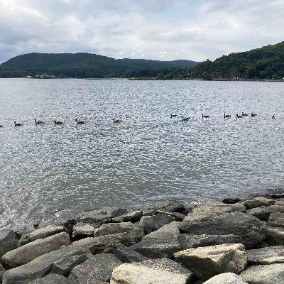 Caretakers Of God's Garden