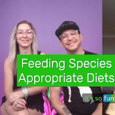 From Suds to Species-Appropriate: Kat’s Journey of Healing, Soap, and the Pawsitivity Path 🧼🐾 #pets