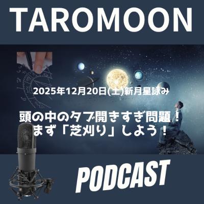 🌑2025年12月20日新月の星詠み(星読み)ガイド🌑 🌑2025年12月20日新月の星詠み(星読み)ガイド🌑