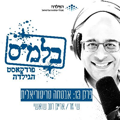 פרק 13: אבטחה טריטוריאלית פרק 13: אבטחה טריטוריאלית