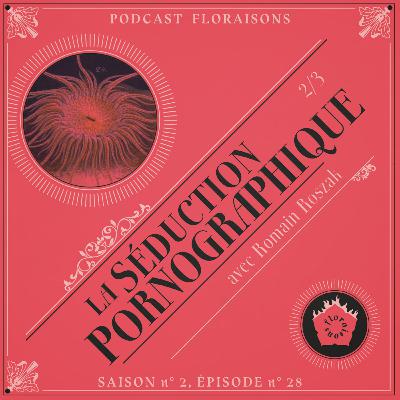 La séduction pornographique (avec Romain Roszak) 2/3 La séduction pornographique (avec Romain Roszak) 2/3