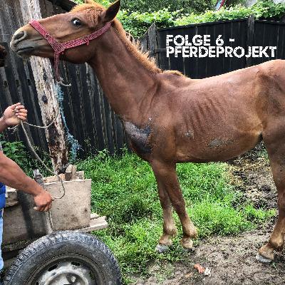 Folge 6: Das Pferdeprojekt in Rumänien