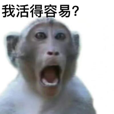 003-不是，谁说打工人闲着就得考证？？？