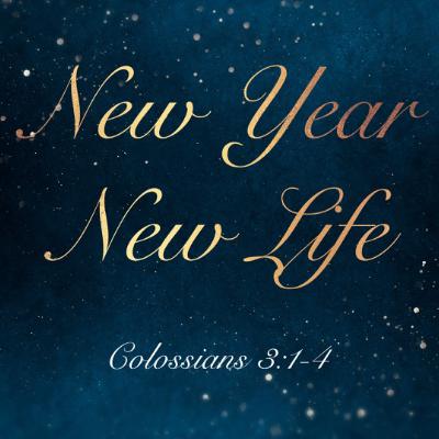 New Year New Life - Short Studies