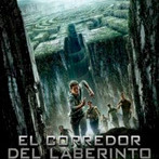 El corredor del laberinto, de James Dashner (Audiolibro)