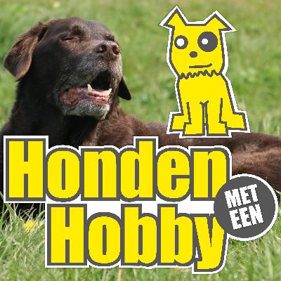 #7: De wandeling: Reactiviteit en wat je hond nodig heeft!!
