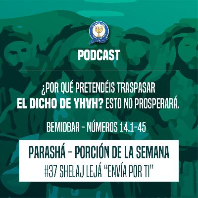 ¿POR QUÉ PRETENDÉIS TRASPASAR EL DICHO DE YHVH? ESTO NO PROSPERARÁ. ¿POR QUÉ PRETENDÉIS TRASPASAR EL DICHO DE YHVH? ESTO NO PROSPERARÁ.