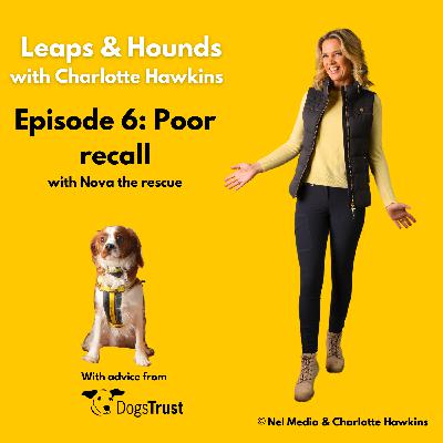 Episode 6: Poor recall #dogstrust #dogtrainingpodcast Episode 6: Poor recall #dogstrust #dogtrainingpodcast