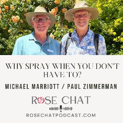 WHY SPRAY WHEN YOU DON’T HAVE TO?