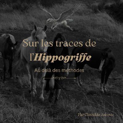 Episode 3. Au delà des méthodes