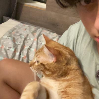 savagewomen/medivalwomen (Trailer)