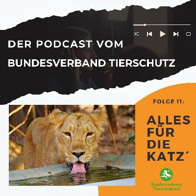 Alles für die Katz´