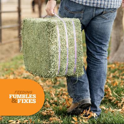 Ep. 108: 4 Simple Ways to Stretch Your Hay Supply Without Sacrificing Nutrition Ep. 108: 4 Simple Ways to Stretch Your Hay Supply Without Sacrificing Nutrition