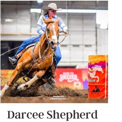 We Went With It- Darcee Shepherd