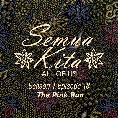 S01E18 The Pink Run