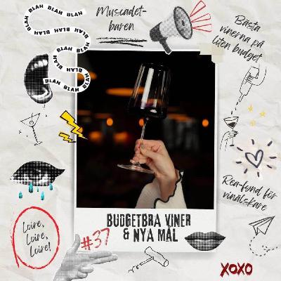37: Budgetbra viner & nya mål