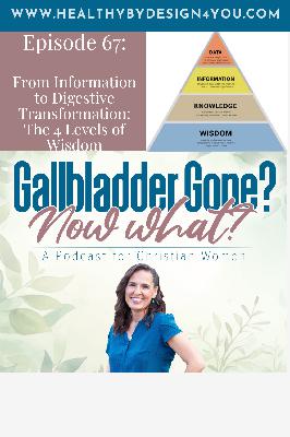 67. From Information to Digestive Transformation: The 4 Levels of Wisdom 67. From Information to Digestive Transformation: The 4 Levels of Wisdom