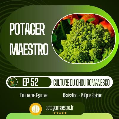 Réussir la culture du chou romanesco dans votre potager