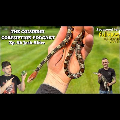 Importing Reptiles the Right Way w/ Josh Alder, The Exotic Empire | Colubrid Corruption | Ep. 81 Importing Reptiles the Right Way w/ Josh Alder, The Exotic Empire | Colubrid Corruption | Ep. 81