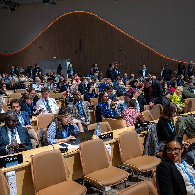 Viele verschenkte Chancen - die Geschichte der Klimagipfel Viele verschenkte Chancen - die Geschichte der Klimagipfel