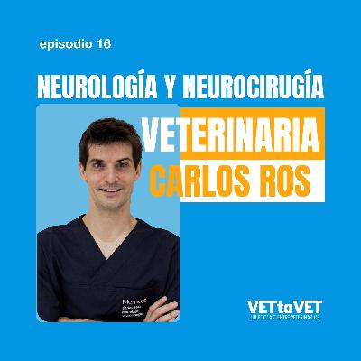 Neurología y Neurocirugía veterinaria, Carlos Ros, E 16 Podcast Vet to Vet