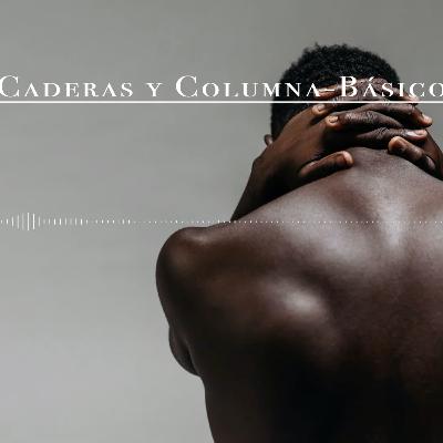Clase del método Feldenkrais 31: Caderas Columna Básico Clase del método Feldenkrais 31: Caderas Columna Básico