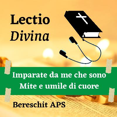 Imparate da me che sono mite e umile di cuore