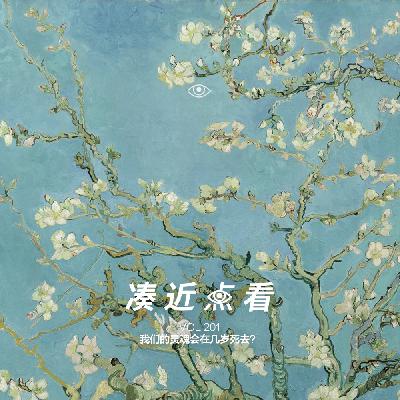 VOL 201 - 我们的灵魂会在几岁死去？