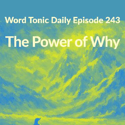 Word Tonic Daily Episode 243 - The Power of a "Why"