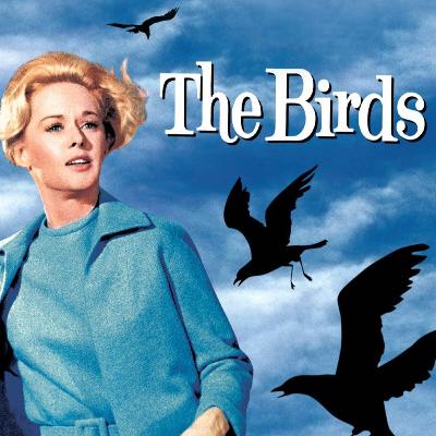 The Birds (1963) Film Review The Birds (1963) Film Review