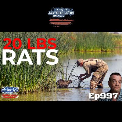 20-Pound Rats 20-Pound Rats