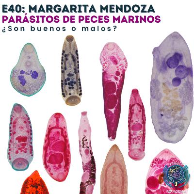 E40: Margarita Mendoza. Parásitos de peces marinos ¿son buenos o son malos? E40: Margarita Mendoza. Parásitos de peces marinos ¿son buenos o son malos?