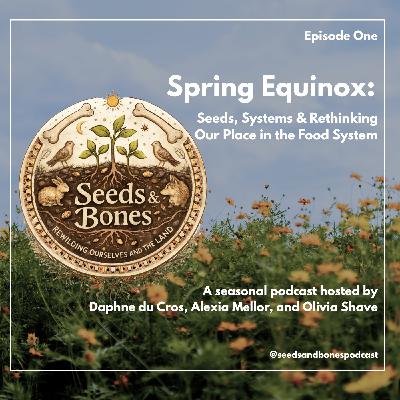 Spring Equinox: Seeds, Systems & Rethinking Our Place in the Food System