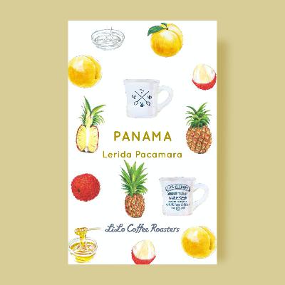 Panama Lerida Pacamara / パナマ レリダ パカマラ