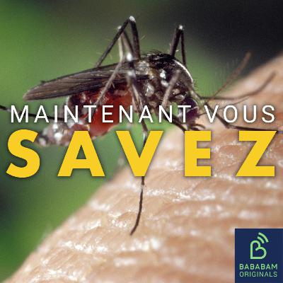 Pourquoi y-a t-il encore des moustiques en automne ? Pourquoi y-a t-il encore des moustiques en automne ?