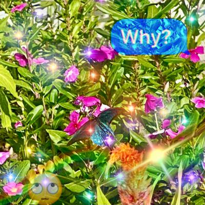 overshare o’clock: why wouldn’t you like it???