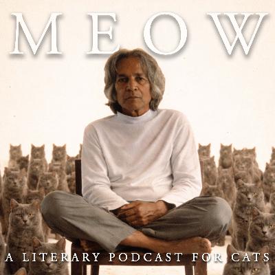 69. U.G. Krishnamurti: There's No Difference Between the Cat and You
