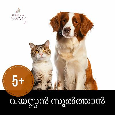 വയസ്സൻ സുൽത്താൻ