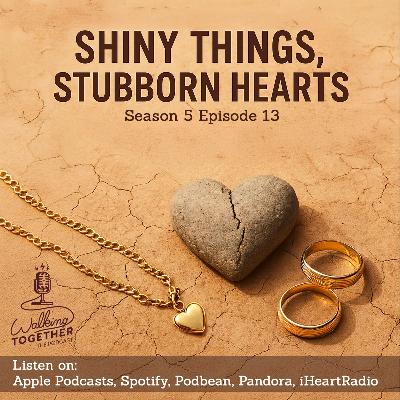 Shiny things, Stubborn hearts